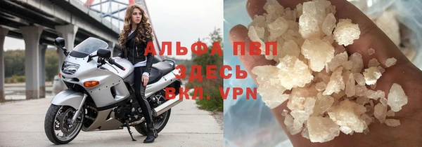 мдпв Каменка