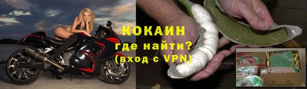 индика Каменск-Шахтинский
