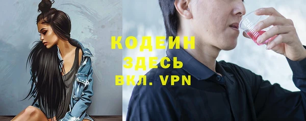 индика Каменск-Шахтинский