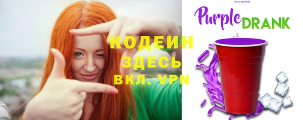 мдпв Каменка