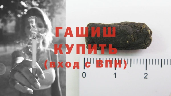 мдпв Каменка