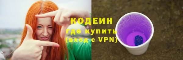 индика Каменск-Шахтинский