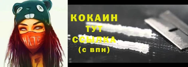 мдпв Каменка