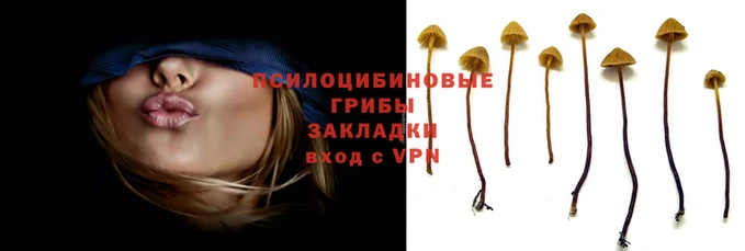 spice Каменногорск