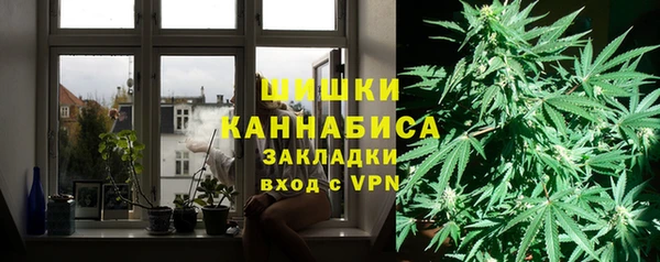 индика Каменск-Шахтинский