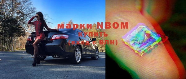 мдпв Каменка