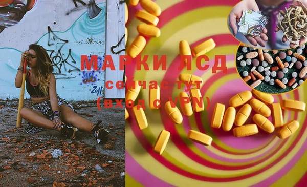 индика Каменск-Шахтинский