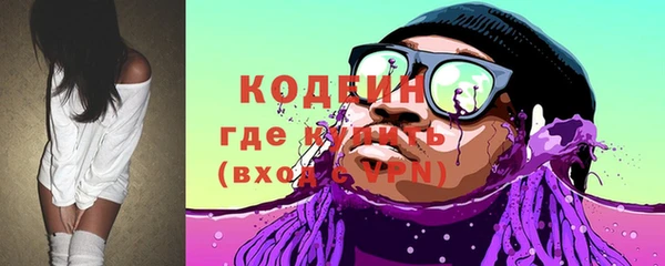 мдпв Каменка