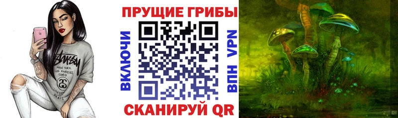 Галлюциногенные грибы Psilocybine cubensis  Купить где  Микунь 