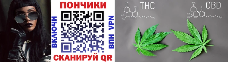 Купить закладки  Микунь  Конопля SATIVA & INDICA 